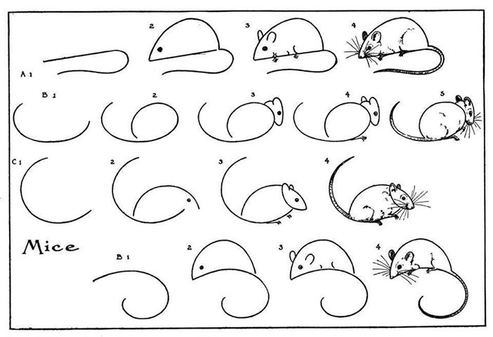 как се рисува мишка